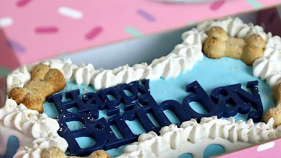 Dog Cakes | Dog Birthday Cakes | 9 inch Bone Cake