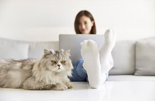 National Cat Lady Day!