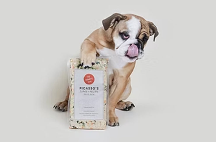 The sweetest Superbowl commercial goes to... the Dogs