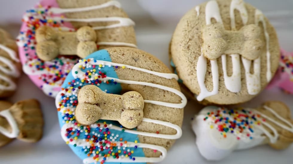 Dog Treats | Doggie Donuts | 6 Pack