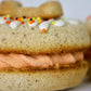 Dog Treats | Pawty Puffs | 6 Pack