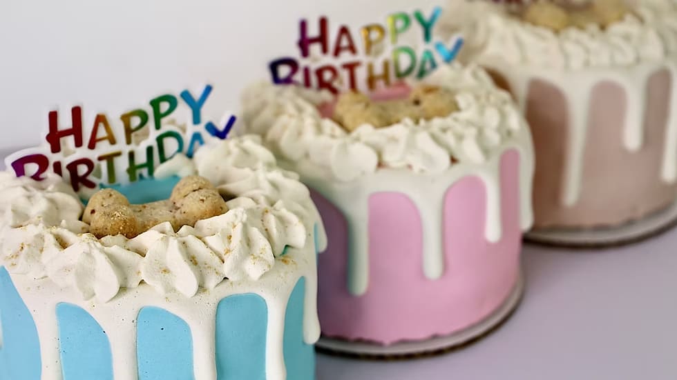 Dog Cakes | Dog Birthday Cakes | 4 Inch Drip Cake