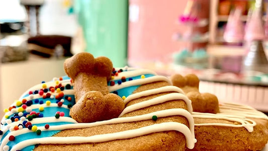 Dog Treats | Doggie Donuts | 6 Pack