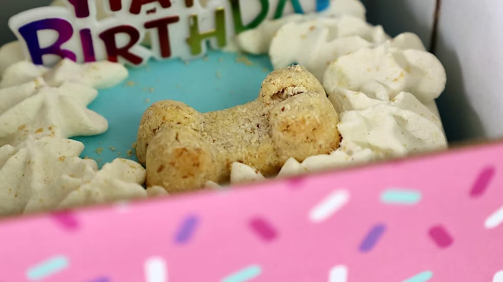 Dog Cakes | Dog Birthday Cakes | 4 Inch Drip Cake