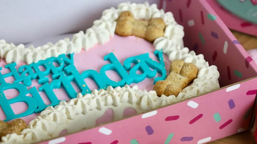 Dog Cakes | Dog Birthday Cakes | 9 inch Bone Cake