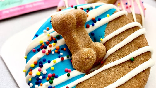 Dog Treats | Doggie Donuts | 6 Pack